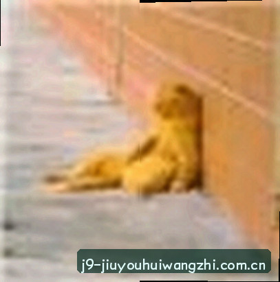 刘洋